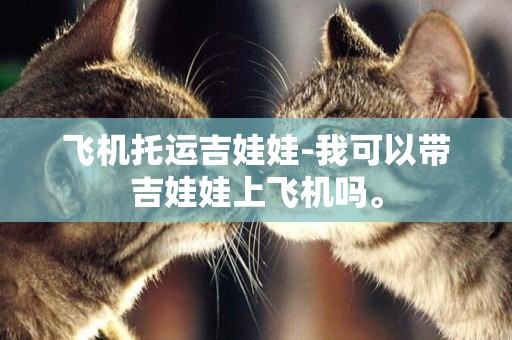 飛機托運吉娃娃-我可以帶吉娃娃上飛機嗎。