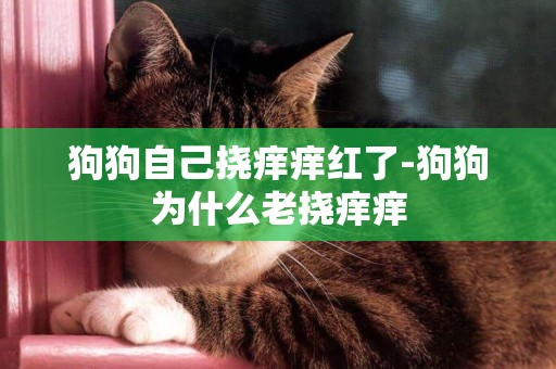 狗狗自己撓癢癢紅了-狗狗為什么老撓癢癢