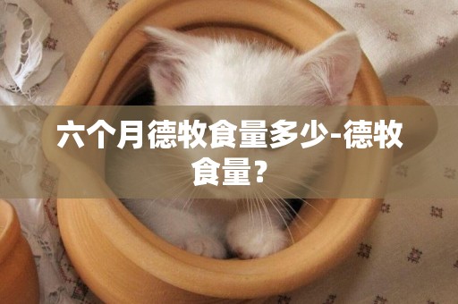 六個月德牧食量多少-德牧食量？