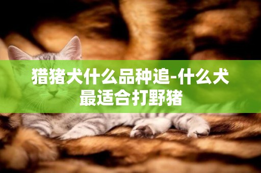 獵豬犬什么品種追-什么犬最適合打野豬