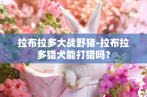 拉布拉多大戰野豬-拉布拉多獵犬能打獵嗎？