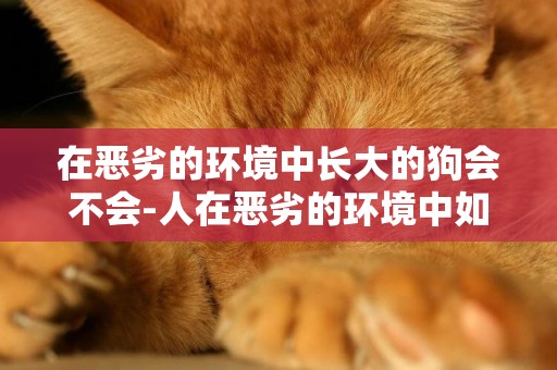 在惡劣的環境中長大的狗會不會-人在惡劣的環境中如何生存