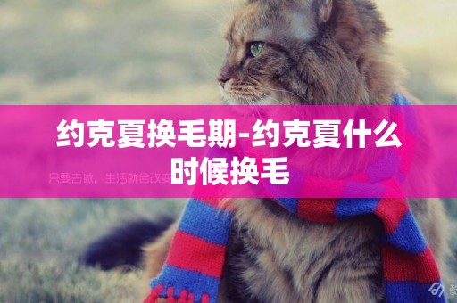 約克夏換毛期-約克夏什么時候換毛