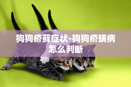 狗狗疥蘚癥狀-狗狗疥螨病怎么判斷
