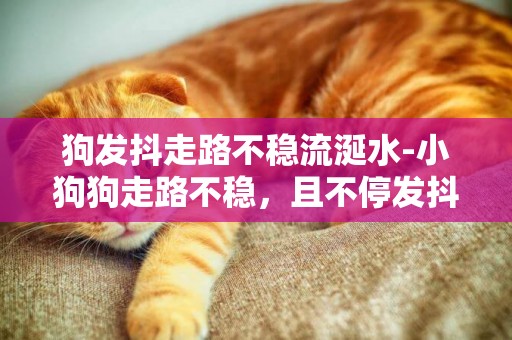 狗發抖走路不穩流涎水-小狗狗走路不穩，且不停發抖