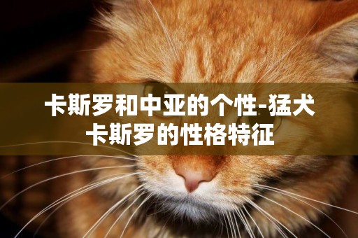 卡斯羅和中亞的個性-猛犬卡斯羅的性格特征