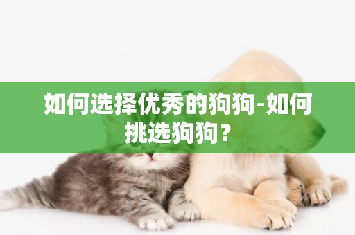 如何選擇優秀的狗狗-如何挑選狗狗？