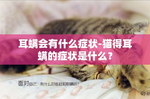 耳螨會有什么癥狀-貓得耳螨的癥狀是什么？