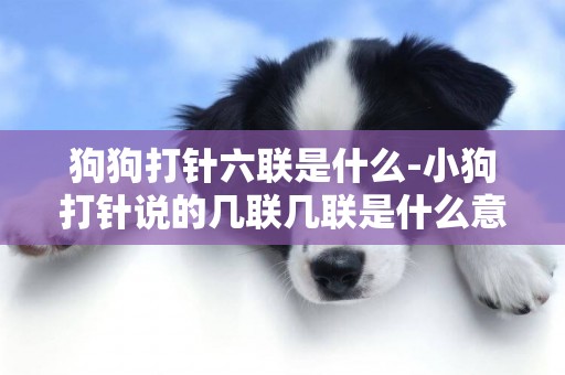 狗狗打針六聯是什么-小狗打針說的幾聯幾聯是什么意思？