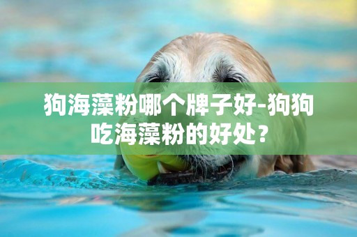 狗海藻粉哪個牌子好-狗狗吃海藻粉的好處？