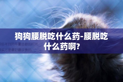 狗狗腰脫吃什么藥-腰脫吃什么藥啊?