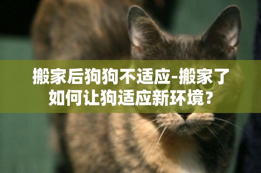 搬家后狗狗不適應-搬家了如何讓狗適應新環境？