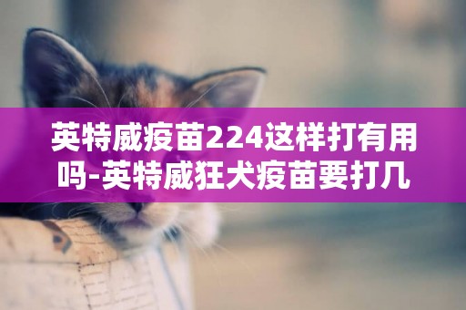 英特威疫苗224這樣打有用嗎-英特威狂犬疫苗要打幾次？