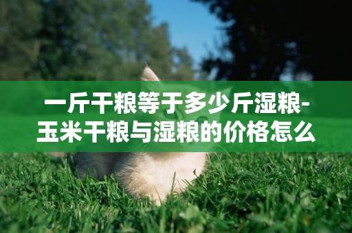 一斤干糧等于多少斤濕糧-玉米干糧與濕糧的價格怎么換算
