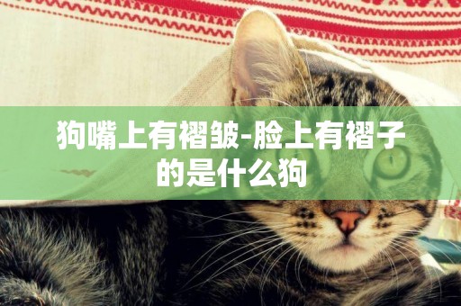 狗嘴上有褶皺-臉上有褶子的是什么狗