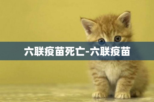 六聯疫苗死亡-六聯疫苗
