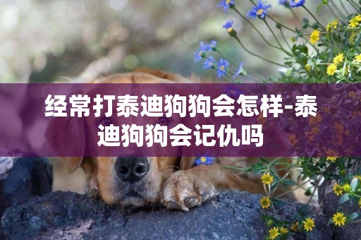 經常打泰迪狗狗會怎樣-泰迪狗狗會記仇嗎