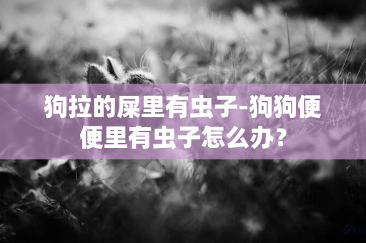 狗拉的屎里有蟲子-狗狗便便里有蟲子怎么辦？
