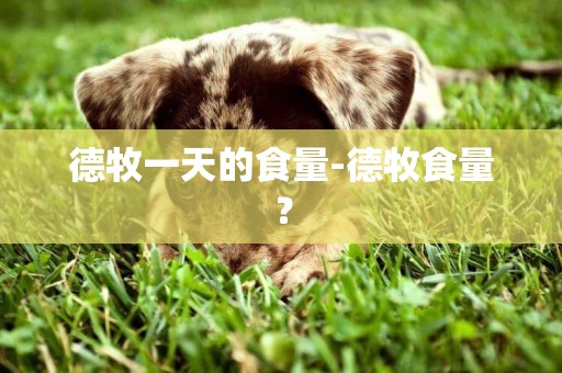 德牧一天的食量-德牧食量？
