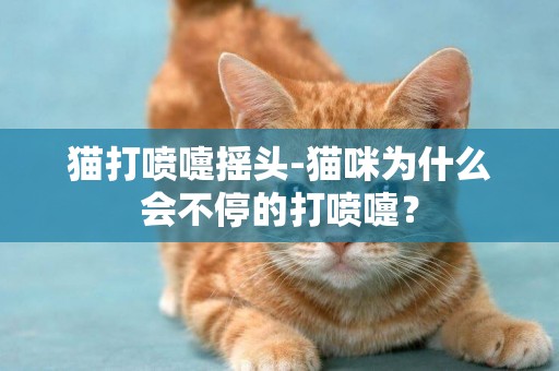 貓打噴嚏搖頭-貓咪為什么會不停的打噴嚏？