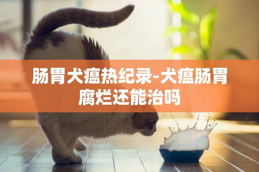 腸胃犬瘟熱紀錄-犬瘟腸胃腐爛還能治嗎
