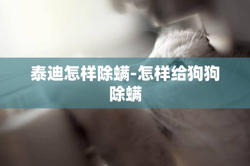 泰迪怎樣除螨-怎樣給狗狗除螨
