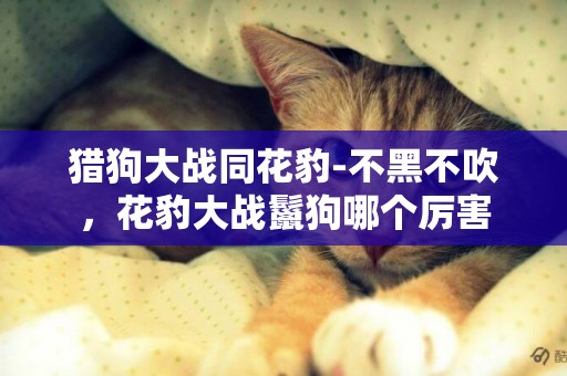 獵狗大戰同花豹-不黑不吹，花豹大戰鬣狗哪個厲害