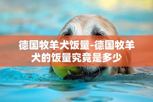 德國牧羊犬飯量-德國牧羊犬的飯量究竟是多少