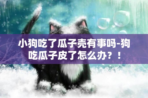 小狗吃了瓜子殼有事嗎-狗吃瓜子皮了怎么辦？！