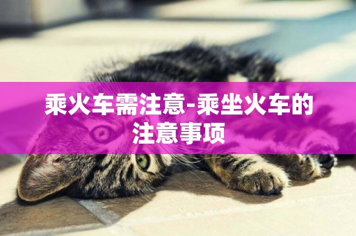 乘火車需注意-乘坐火車的注意事項