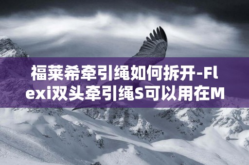 福萊希牽引繩如何拆開-Flexi雙頭牽引繩S可以用在M上嗎？