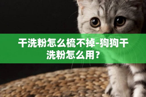 干洗粉怎么梳不掉-狗狗干洗粉怎么用？