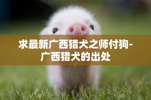 求最新廣西獵犬之師付狗-廣西獵犬的出處