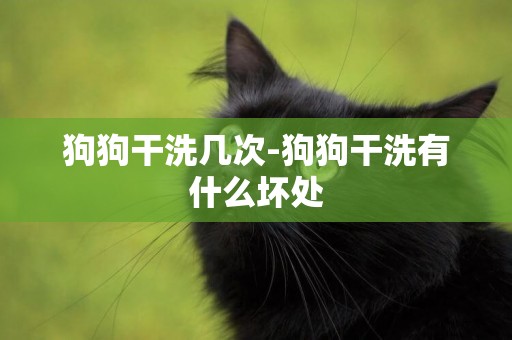 狗狗干洗幾次-狗狗干洗有什么壞處