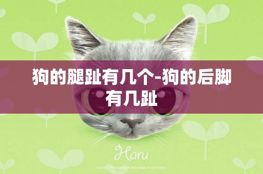 狗的腿趾有幾個-狗的后腳有幾趾