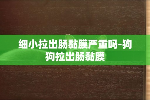 細小拉出腸黏膜嚴重嗎-狗狗拉出腸黏膜
