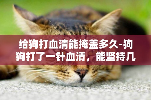 給狗打血清能掩蓋多久-狗狗打了一針血清，能堅持幾天？