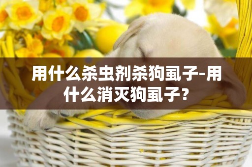 用什么殺蟲劑殺狗虱子-用什么消滅狗虱子？
