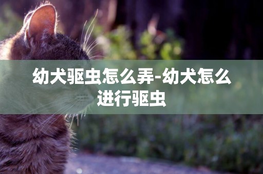 幼犬驅蟲怎么弄-幼犬怎么進行驅蟲