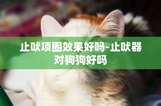 止吠項圈效果好嗎-止吠器對狗狗好嗎