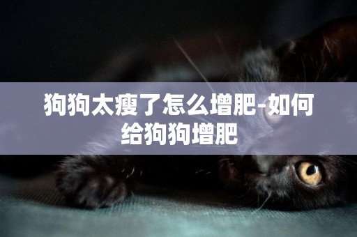 狗狗太瘦了怎么增肥-如何給狗狗增肥