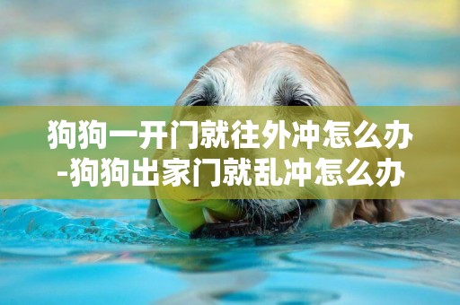 狗狗一開門就往外沖怎么辦-狗狗出家門就亂沖怎么辦