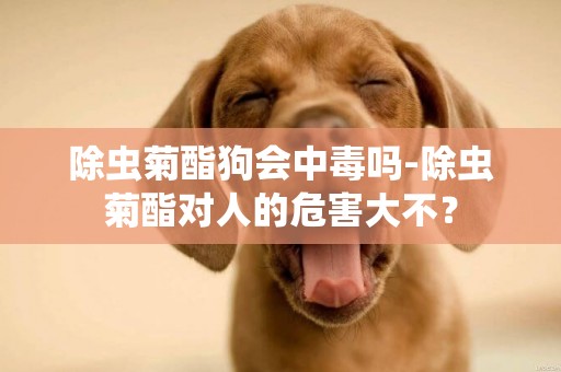 除蟲菊酯狗會中毒嗎-除蟲菊酯對人的危害大不？
