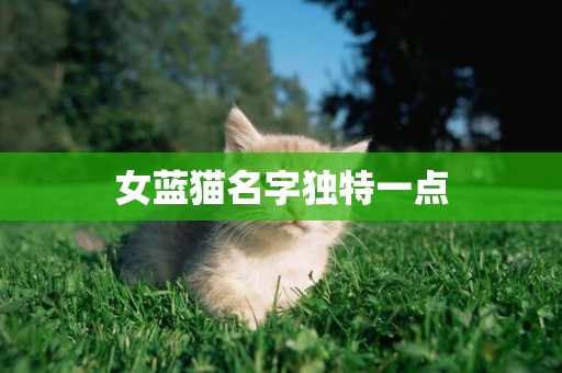 女藍貓名字獨特一點