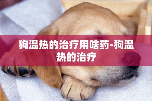 狗溫熱的治療用啥藥-狗溫熱的治療