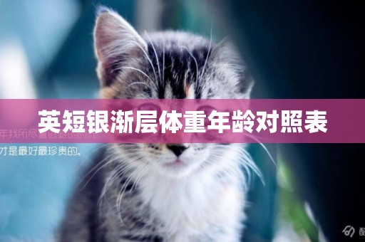 英短銀漸層體重年齡對照表