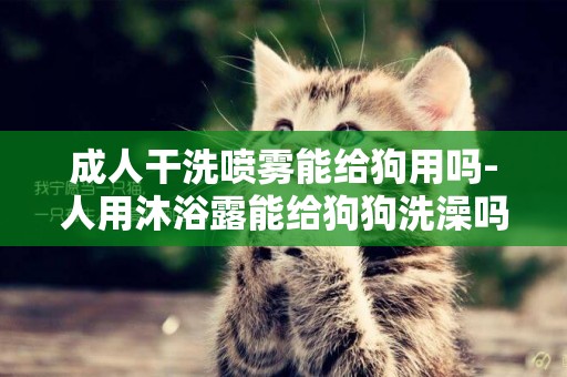 成人干洗噴霧能給狗用嗎-人用沐浴露能給狗狗洗澡嗎