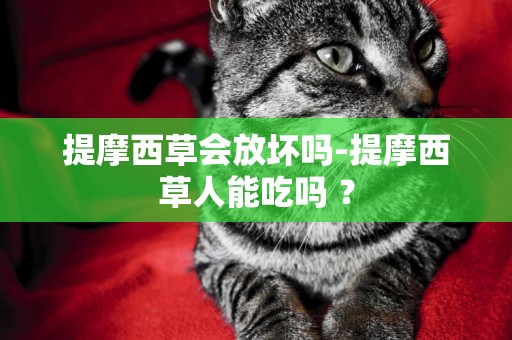 提摩西草會放壞嗎-提摩西草人能吃嗎 ？