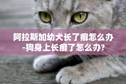阿拉斯加幼犬長了癬怎么辦-狗身上長癬了怎么辦?