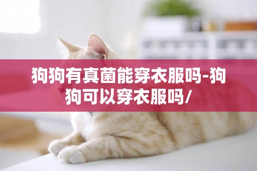 狗狗有真菌能穿衣服嗎-狗狗可以穿衣服嗎/